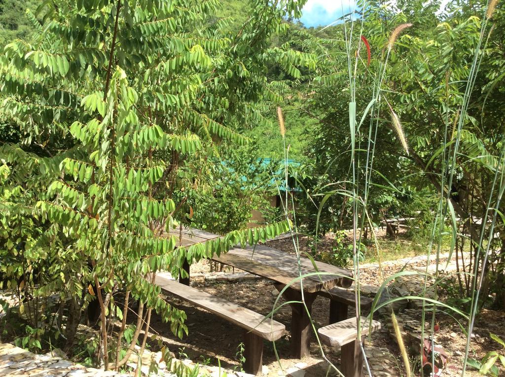 Busuanga Backpackers Hostel Concepcion  Kültér fotó