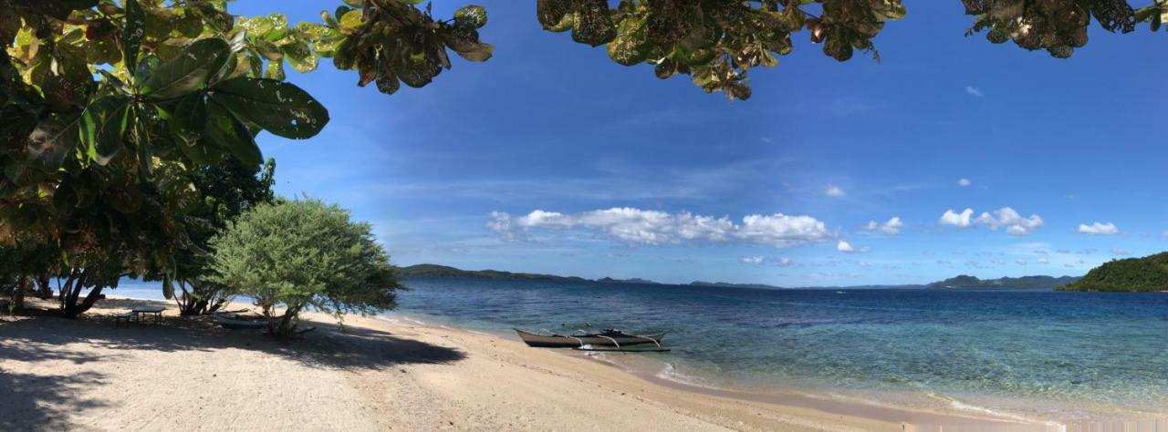 Busuanga Backpackers Hostel Concepcion  Kültér fotó