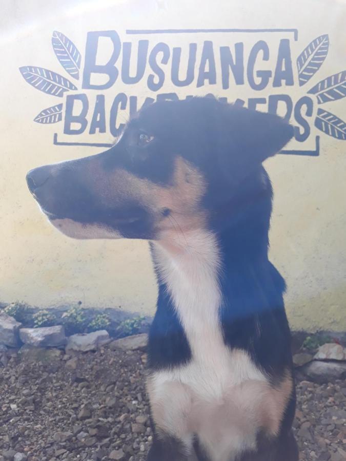 Busuanga Backpackers Hostel Concepcion  Kültér fotó